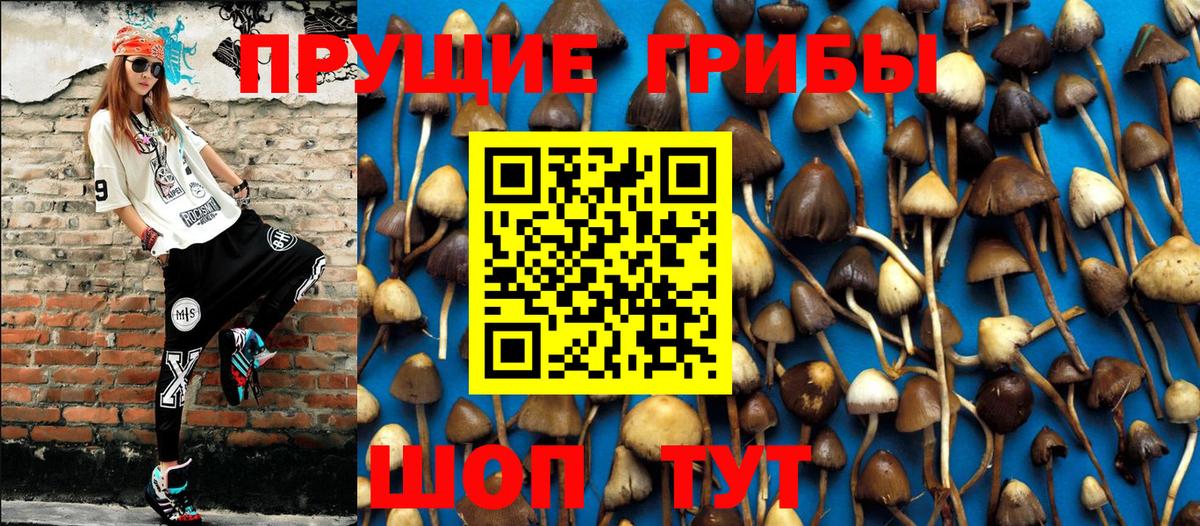 Псилоцибиновые грибы GOLDEN TEACHER Каспийск