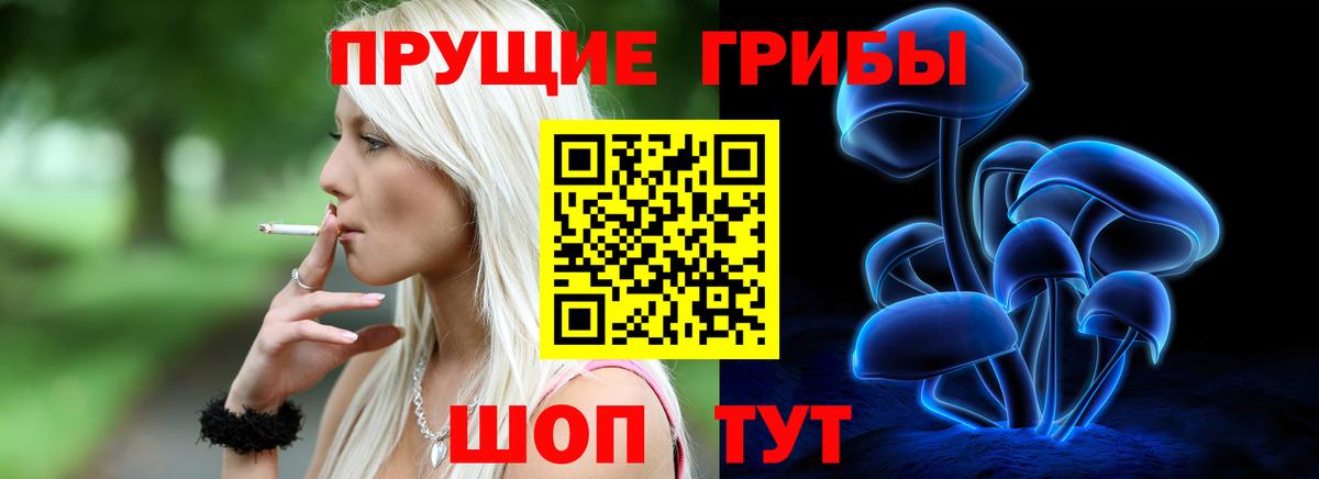 Галлюциногенные грибы Cubensis  Вход с VPN  Каспийск 